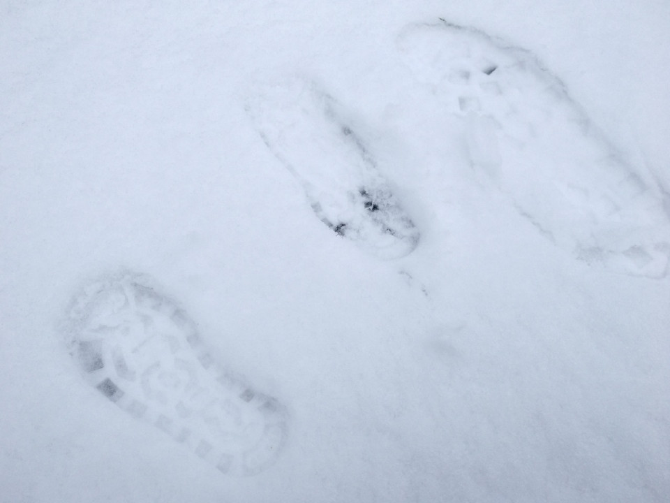Le Rhône placé en vigilance orange à la neige