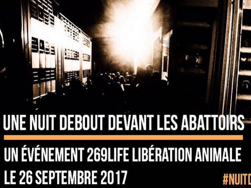 Une "nuit debout" devant l’abattoir de Corbas ce mardi