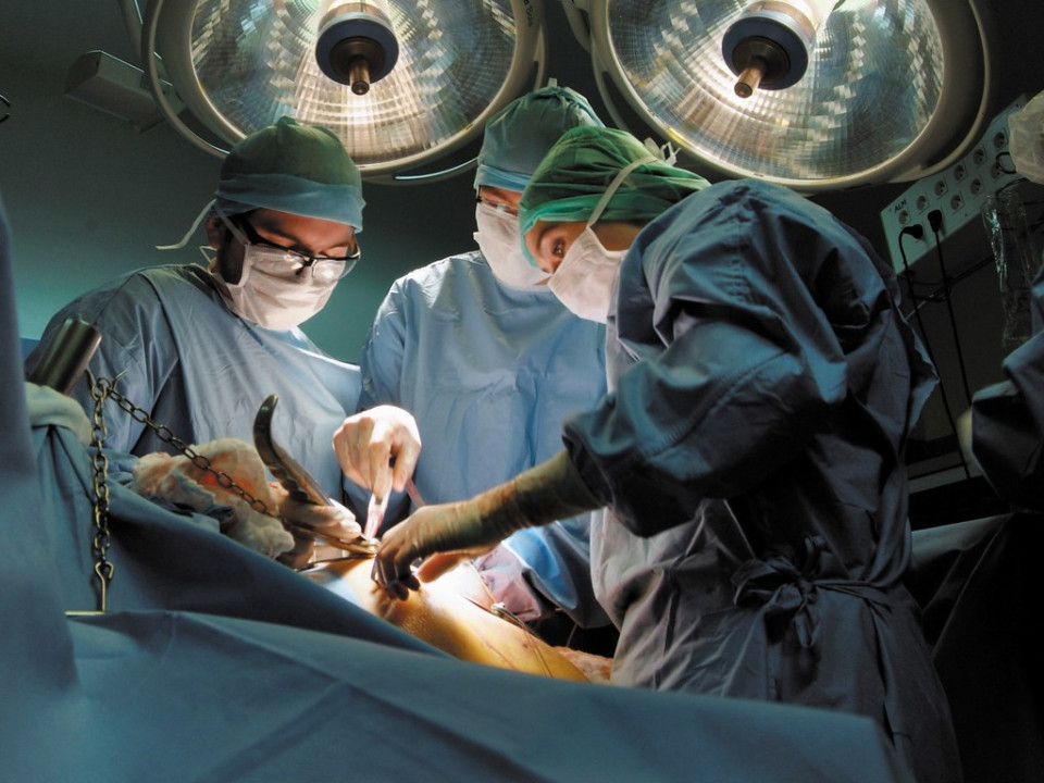 Lyon : un homme greffé des bras et des épaules