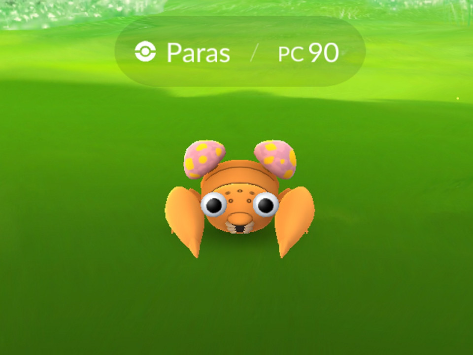 Les Pokémons interdits par le maire d'une commune près de Lyon