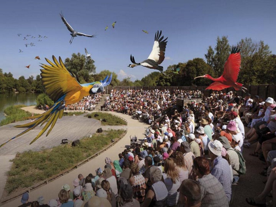 Cette année, le parc des oiseaux se met à l’heure africaine