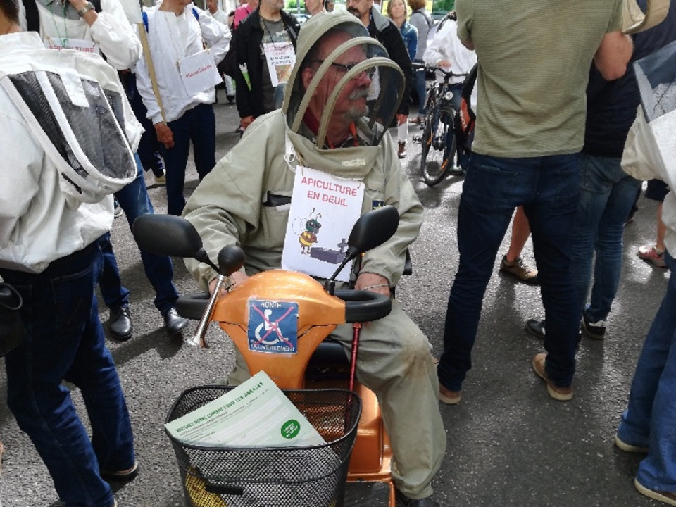 Lyon : une trentaine d'apiculteurs rassemblés contre la mort des abeilles