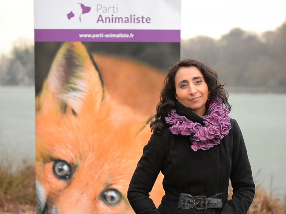 Législatives dans le Rhône : sept candidats pour le Parti animaliste !
