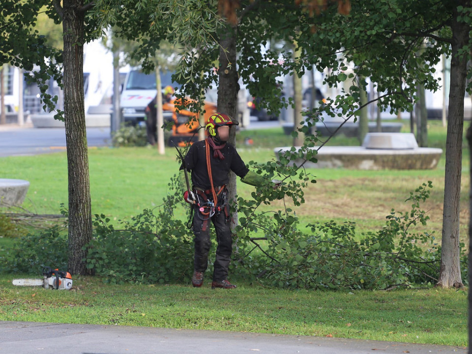 Saint-Priest : les paysagistes font trop de bruit, il tire en leur direction