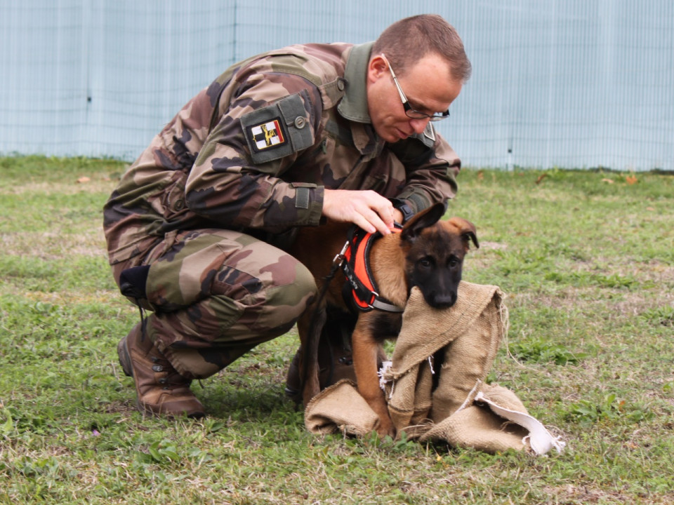 Une nouvelle recrue pour le camp militaire de la Valbonne !