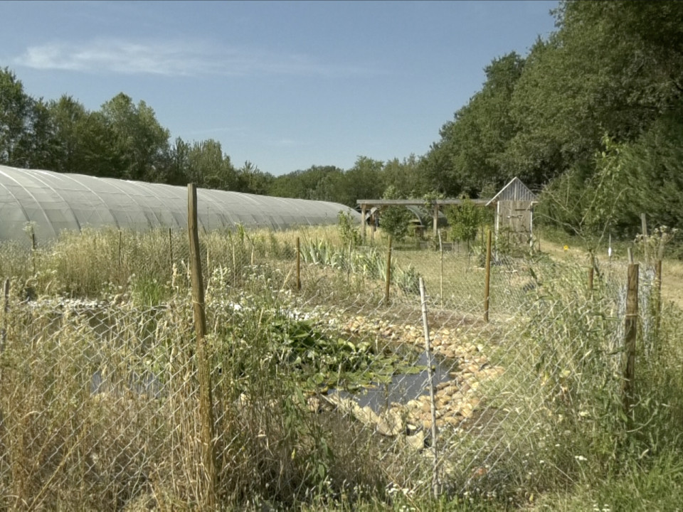 Plan sécheresse : les agriculteurs s’organisent dans le Rhône - VIDEO