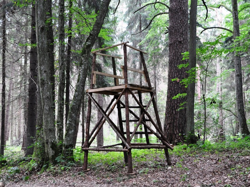 De nombreux "miradors" de chasse détruits dans la campagne lyonnaise