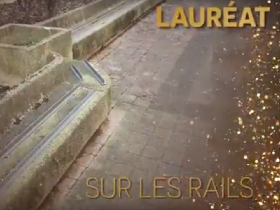 Banc anti-SDF : la fondation Abbé Pierre remet à Lyon le "Pic d'Or" de la catégorie "fallait oser"