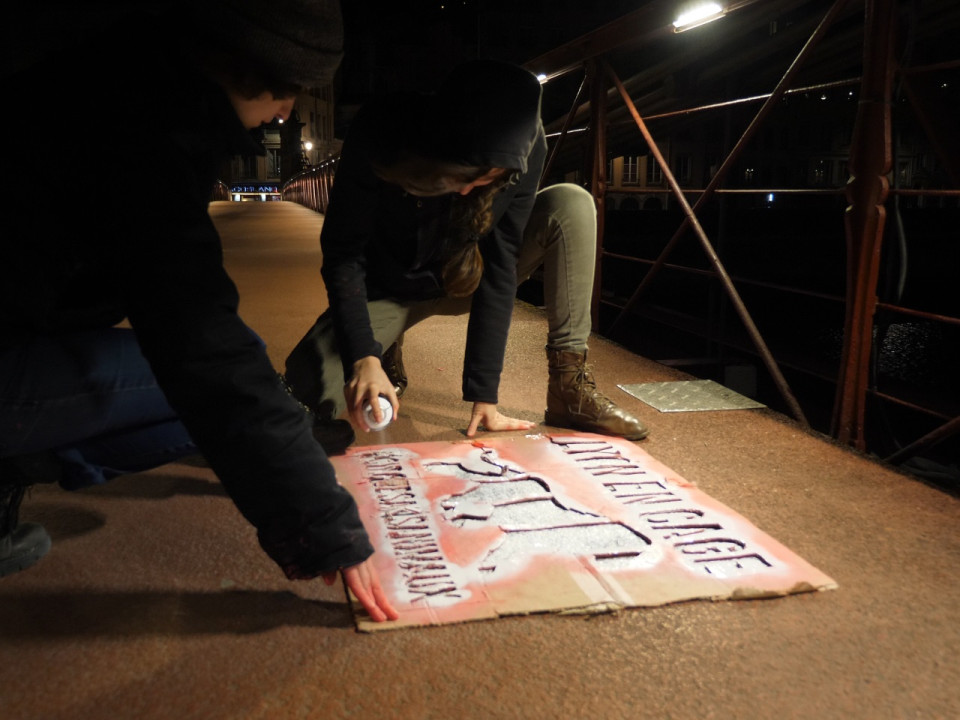 Des activistes taguent les murs de Lyon pour dire non aux animaux dans les cirques