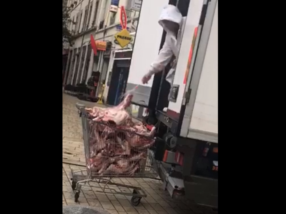 Lyon : un transport de viande douteux dans le quartier de la Guillotière ?