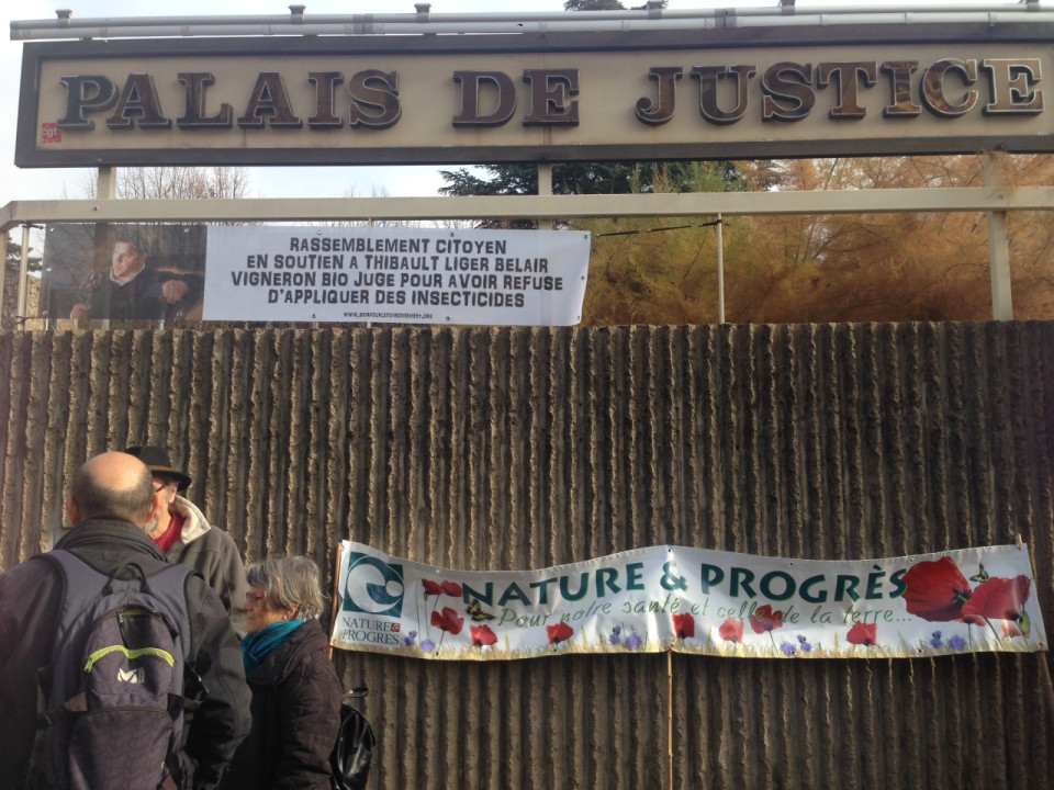 La nullité des poursuites requise pour le vigneron qui avait refusé de traiter ses vignes dans le Beaujolais