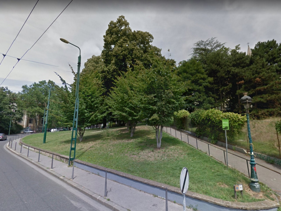 Vent violent : un arbre de 27 mètres de haut menace de tomber au Jardin des Plantes à Lyon