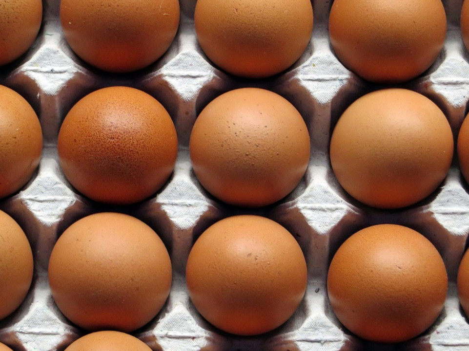 Des œufs contaminés au Fipronil livrés dans une entreprise du Rhône