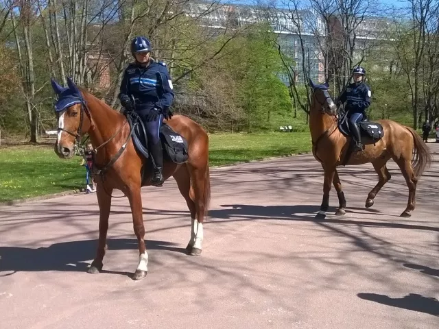 Bientôt une police équestre à Lyon !