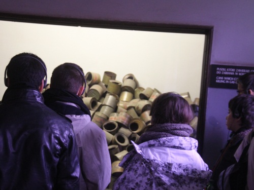 Dans les barbelés, Auschwitz I