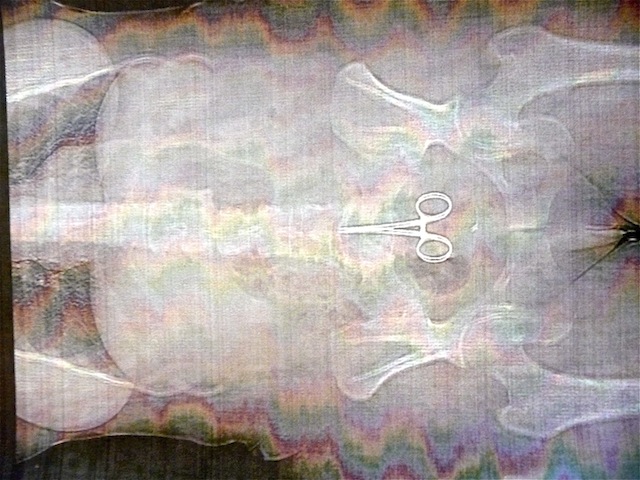 Anne, en compagnie de son avocat, Me Jean Sannier