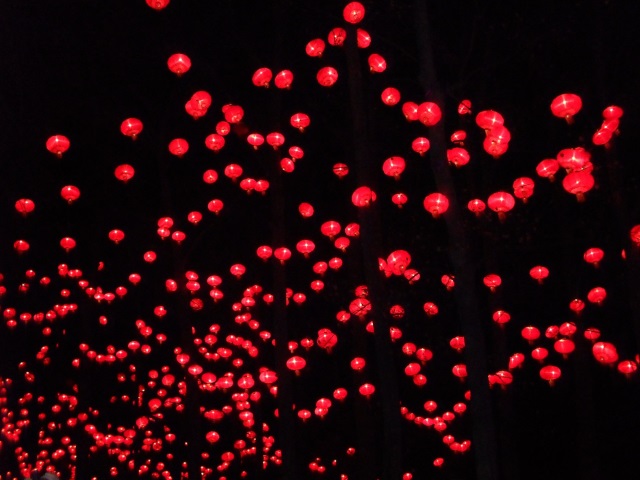 Le Chinese Corner - LyonMag