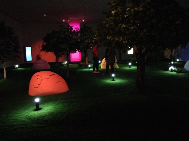 Antoine Catala, Jardin Synthétique à l'isolement, photo LyonMag.com