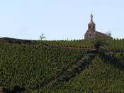 Le Beaujolais s'écharpe pour un nom de commune - LyonMag